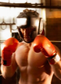 Palestra Demo Fitness - La nostra Palestra - pugilato - Pesaro Palestra Demo Fitness - La nostra Palestra - pugilato - Pesaro